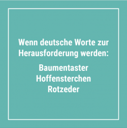 Bildschirmfoto 2025-07-24 um 11.09.17.png
