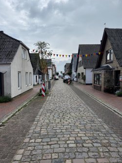 IMG_9305.jpeg