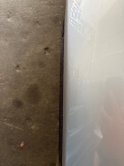 IMG_6974.jpeg