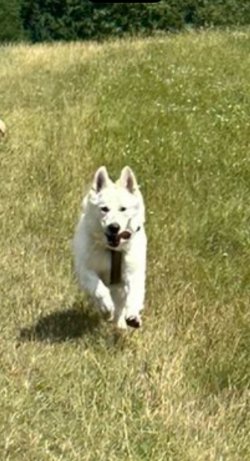 IMG_8794.jpeg