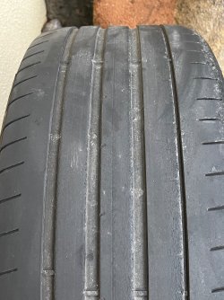 IMG_7586.jpeg