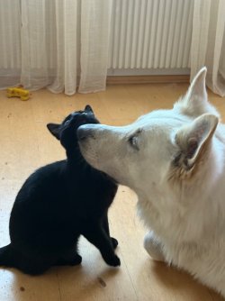 IMG_8823.jpeg