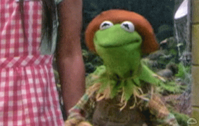 giphy (10).gif