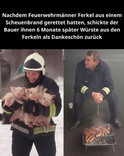 FB_IMG_1754145904415.jpg