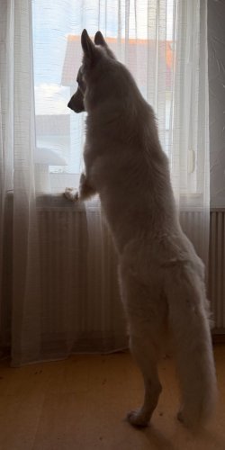 IMG_8841.jpeg