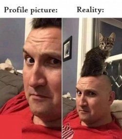 1754161027618.jpeg