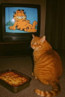 1754161052962.jpeg