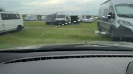 IMG-20250803-WA0011.jpeg