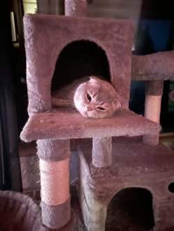 IMG_5580.jpeg