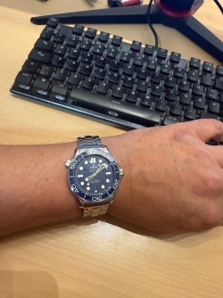 IMG_8511.jpeg