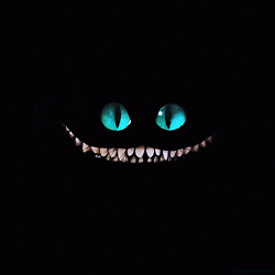 IMG_0300.gif