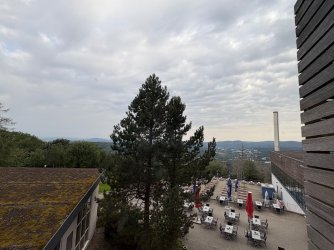 IMG_2961.jpeg