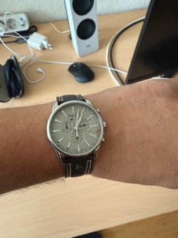 IMG_8531.jpeg