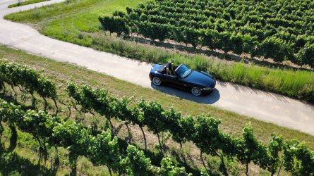 dji_fly_20250811_103304_31_1754903747002_photo_optimized.JPG