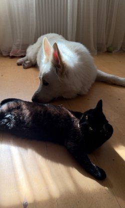 IMG_8871.jpeg