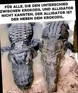 FB_IMG_1755007235103.jpg
