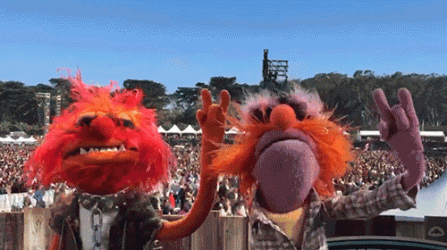 giphy (9).gif