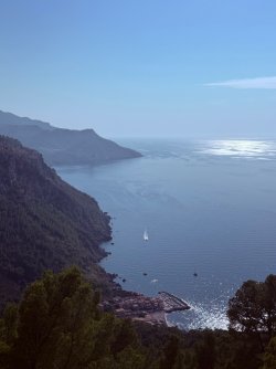 IMG_9893.jpeg