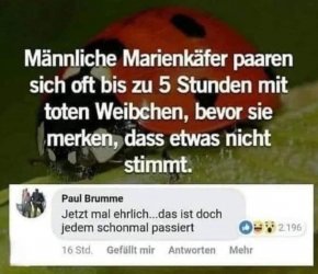 1755268099525.jpeg