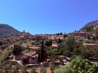 IMG_9927.jpeg