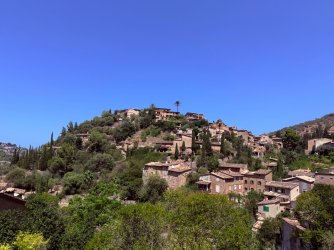 IMG_9925.jpeg