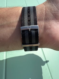 IMG_8649.jpeg