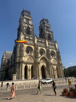 IMG_5959.jpeg