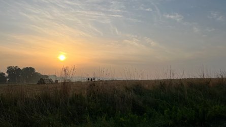 IMG_5385.jpeg