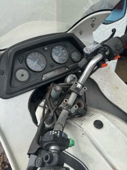 IMG_7523.jpeg