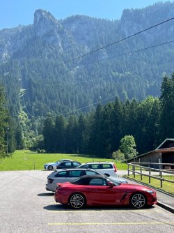 IMG_4017 (Groß).JPG