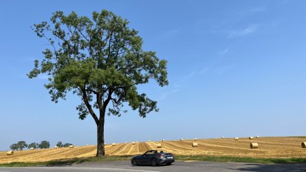 IMG_5435.jpeg