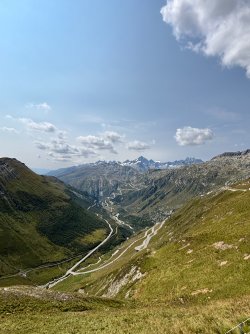 IMG_7007.jpeg