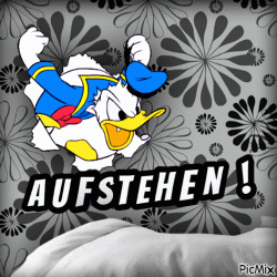 10568161_f277a.gif