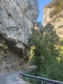 IMG_6249.jpeg