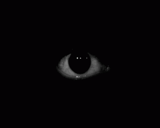QBnX.gif