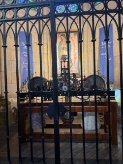 IMG_6374.jpeg