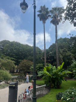 IMG_6425.jpeg