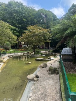 IMG_6426.jpeg
