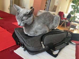 Tasche.jpg
