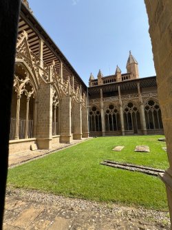 IMG_2726.jpeg
