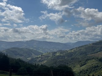 IMG_6519.jpeg