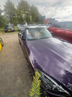 IMG_0527.jpeg