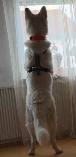 IMG_8975.jpeg