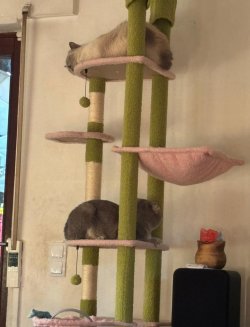 IMG_5699.jpeg