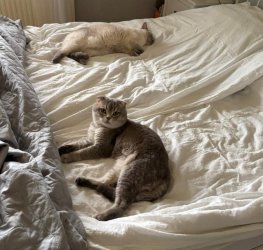 IMG_5709.jpeg