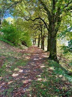 IMG_0965.jpeg