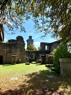 IMG_0966.jpeg