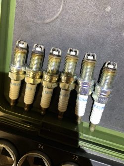 IMG_6352.jpg IMG_6352.jpg