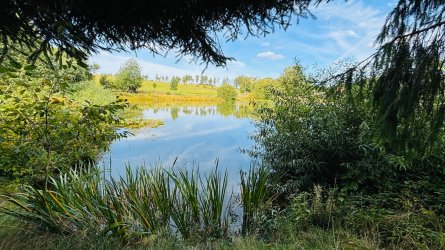 IMG_1652.jpeg