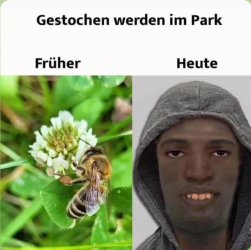 IMG_4700.jpeg